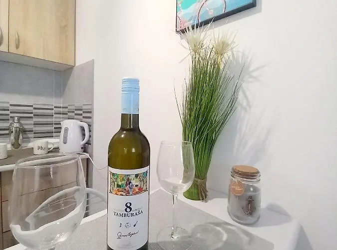 Apartment Capital Town Novi Sad